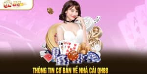 stripchat-qh88-app